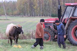 Rolnicy. Podlasie. Andrzej powiedział jak jest. Całe życie ja. Zamknął drzwi i pojechał