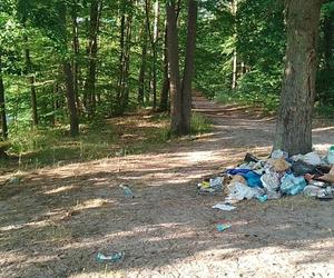 Tak wygląda dzika plaża w Smukale