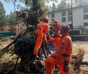 Przyjechali z Niemiec i zginęli. Tragedia w Lądku-Zdroju