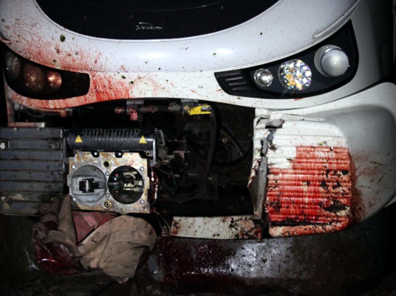 Masakra w Trzebiszewie. Stado koni wpadło pod pędzący pociąg! [DRASTYCZNE ZDJĘCIA]