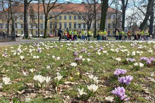 W Parku Kościuszki w Lesznie powitano wiosnę