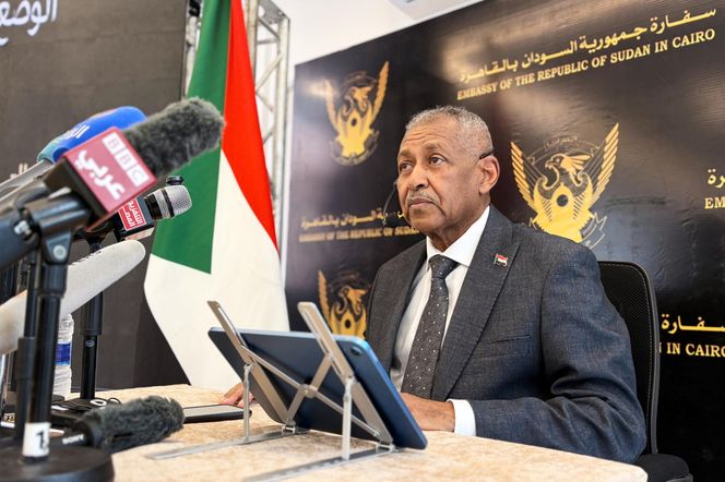 Wojna domowa w Sudanie