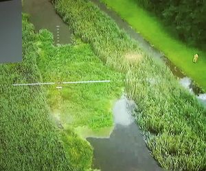 Zły stan wałów na Żuławach. „Są jak gąbka”