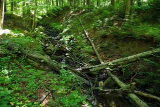 Ten rezerwat przyrody powiększył się 200-krotnie!