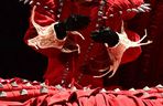 Nowe doniesienia o planowanym zamachu na koncercie Lady Gagi. Sprawca twierdził, że piosenkarka jest satanistką