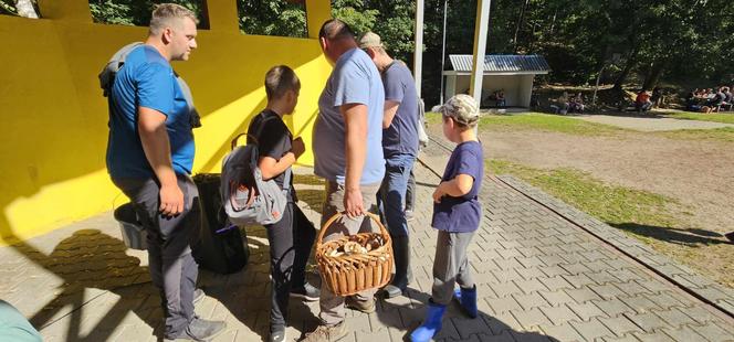 Mistrzostwa Śląska w Grzybobraniu 2023 w rybnickim Golejowie