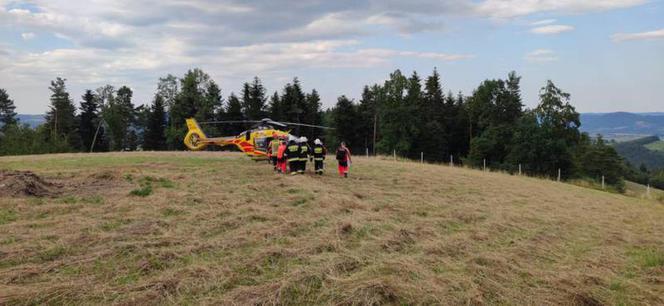 SZOKUJĄCY wypadek w Łososinie Dolnej. Paralotniarz spadł na ziemię z dużej wysokości 