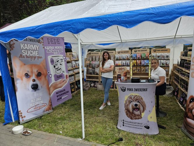 Festiwal Przyjaciół Zwierząt w Olsztynie. Park Centralny opanowały radosne pieski