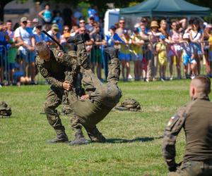 Piknik wojskowy w Warszawie