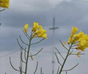 Podkarpackie kapliczki z historia. Wrzućcie tam prosze wszytko jak leci, tylko prosze tez jeszcze o pierwsze zdjęcie.
