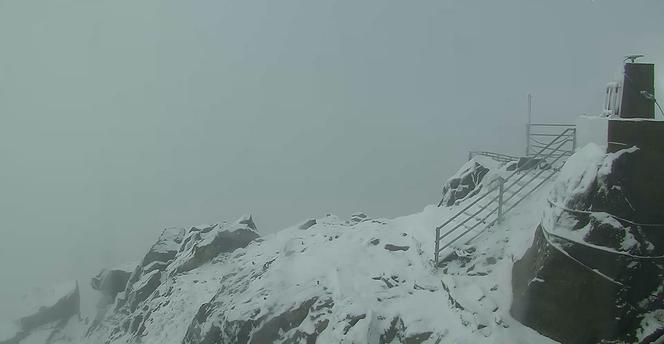 Pierwszy śnieg już spadł w Polsce! Białym puchem sypnęło w Tatrach i Karkonoszach [WIDEO]