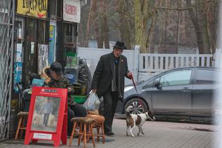 Janusz kupił psu petardy