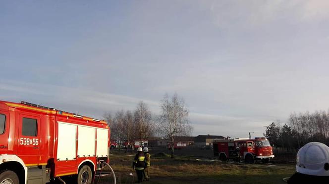 OGROMNY pożar w powiecie świeckim! Jedna osoba poszkodowana