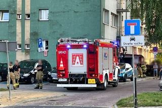 Tragedia w Tychach. Pies wypadł z okna mieszkania. Zwierzę zginęło