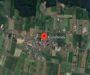 Wieś Koziebrody (pow. płoński)