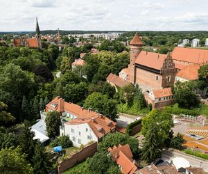 Tutaj życie gaśnie najczęściej. Dane z Warmii i Mazur porażają