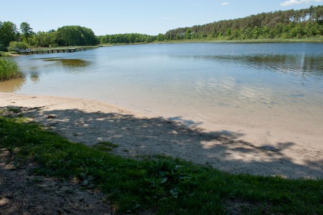 Mężczyzna utonął na jeziorze Jezuickim w Pieckach
