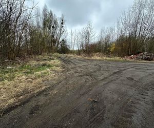 Sceny jak z filmu! Gangsterskie metody! Maczety, gaz i śmierć w szpitalu