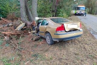 Volvo zmiażdżone po zderzeniu z drzewem! Kierowca nie żyje. Opublikowano szokujące nagranie