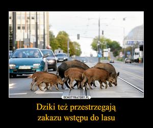 Najlepsze memy o Olsztynie. Z tego śmieją się internauci