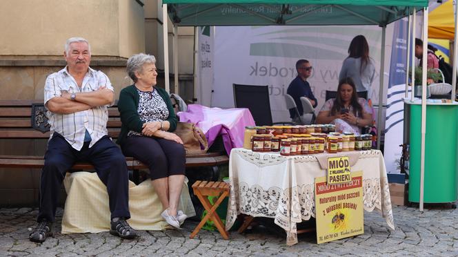 Miasto miodem płynące! Tak świętowali pszczelarze w Lublinie! Zobacz 