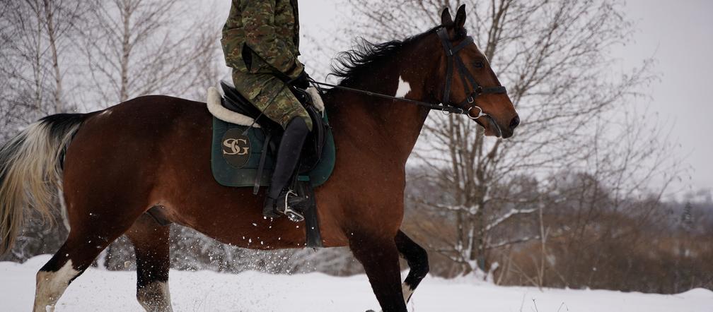 Strażnicy graniczni pracują w śniegu. Zima w Bieszczadach nie odpuszcza! [ZDJĘCIA] 