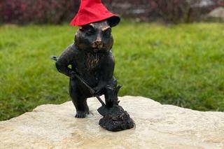 Chomik na jaworznickich Plantach