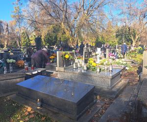 Kwesta na cmentarzu Rakowickim 2025