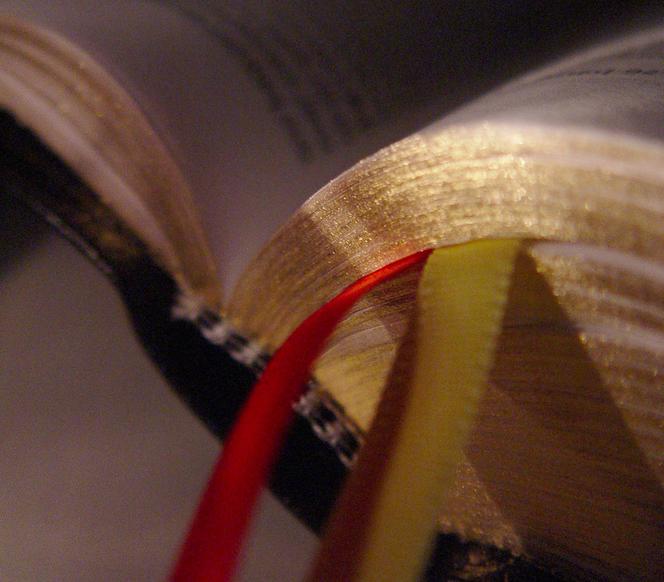 BIBLISTYKA - czym jest nowa dyscyplina naukowa? Czarnek: Polska staje się jednym z trzech najważniejszych ośrodków tej nauki