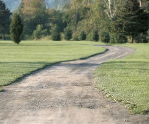 Ścieżka z samej ziemi - pomysł na dróżkę ziemną w ogrodzie