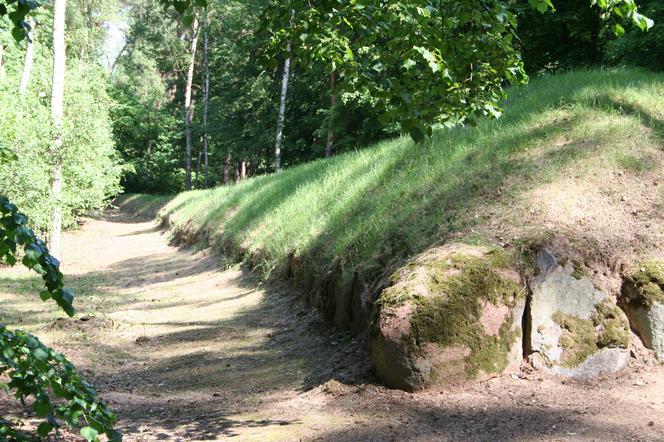 Archeolodzy odkryli osady budowniczych polskich piramid
