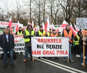 Protest plantatorów tytoniu w Warszawie (3.11.2025)