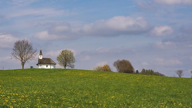 Brak większych lasów