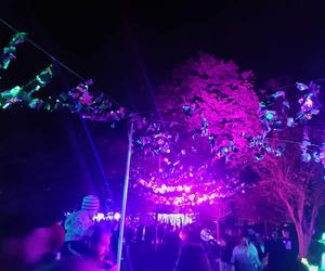 Light Move Festival 2023. Sprawdź, jak wyglądało to wyjątkowe wydarzenie [ZDJĘCIA]