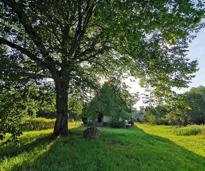 gorzów Ślizowska las 2