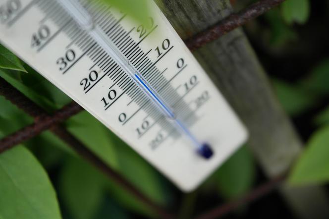 Wielkopolskie: Termometry mogą OSZALEĆ! Wiosna tylko w kalendarzu