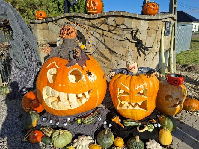 U Łukasza z Pawłowa hasło "cukierek albo psikus" nabiera innego wymiaru. Najbardziej halloweenowy dom świętokrzyskiego