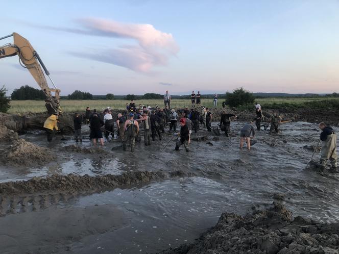 Poszukiwacze bursztynu w Rewie. Jak wyglądają poszukiwania złota Bałtyku? 