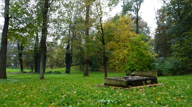 Ogród Saski w Lublinie w jesiennej odsłonie