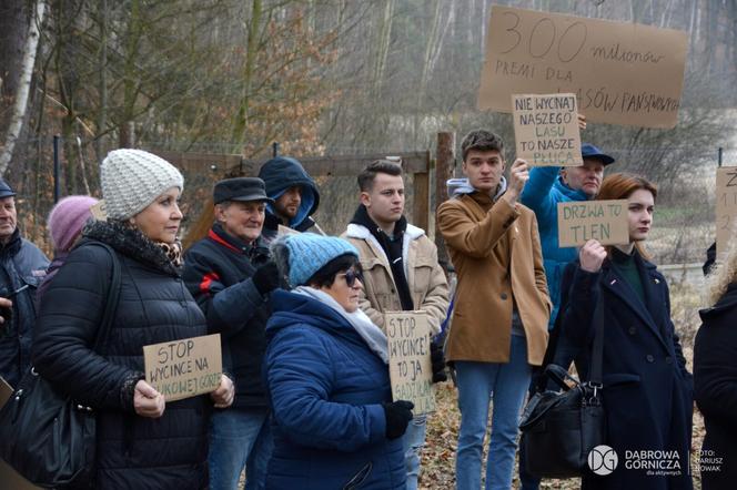 Protest mieszkańców przeciwko wycince drzew na Bukowej Górze