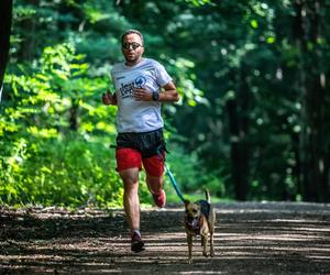 Parkrun Las Aniołowski w Częstochowie. Biegowa rekreacja na 5 kilometrach [ZDJĘCIA]