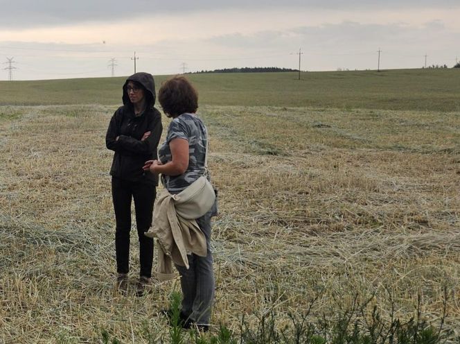 Akcja na polu, gdzie znaleziono Wampirkę z Pnia. Młodzi chodzili z detektorami, niedługo wracają tam archeolodzy