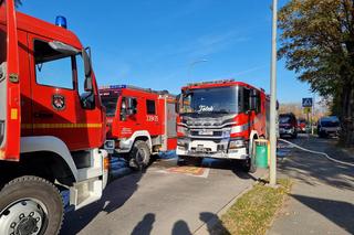 Ewakuowano 174 osoby, jedna została poszkodowana