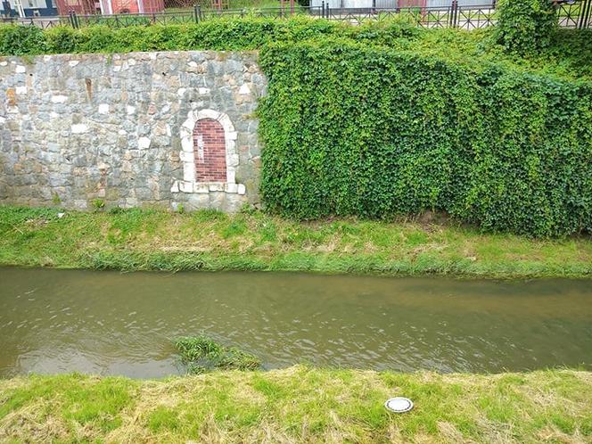 Sytuacja hydrologiczna w Tarnowie. Czy grozi nam powódź?