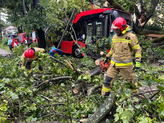 Drzewo przewróciło się na miejski autobus. Są osoby poszkodowane