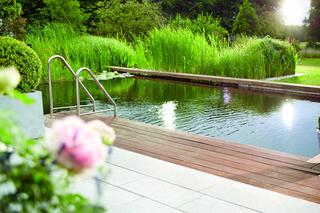 Staw kąpielowy w ogrodzie – oczko wodne i basen w jednym zbiorniku wodnym
