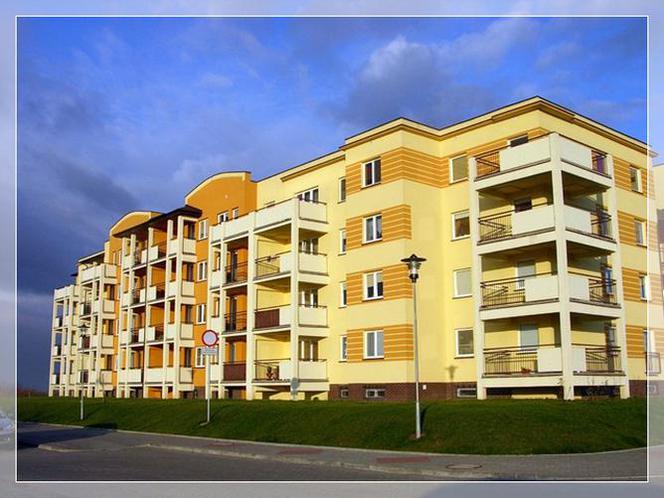 Pogromcy bazgrołów ruszają do boju