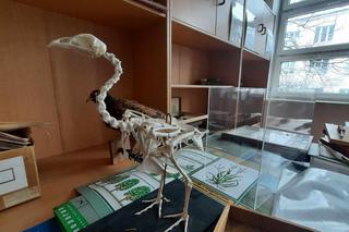 Tak wygląda przejęta od Rosji szkoła w Warszawie 