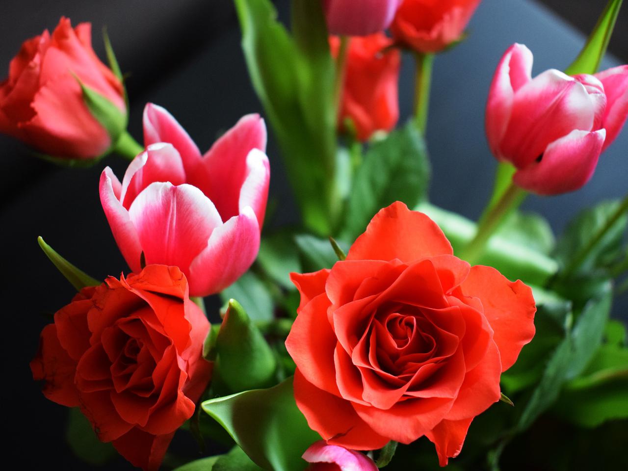 Życzenia imieninowe dla Zofii. Wierszyki i sms-y idealne na tę okazję