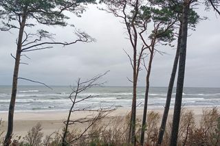 To nie koniec wichur na Pomorzu? Pogoda na najbliższe dni i weekend